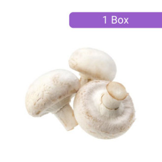 Button Mushroom - மொட்டுக் காளான்