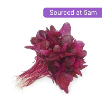 Red Amarnath - சிவப்பு கீரை