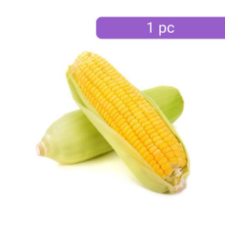 Sweet Corn (சோளம்)