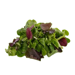 Leafy Veggies