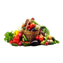  Fresh Vegetables